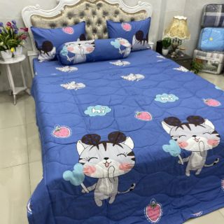 BỘ DRAP COTTON HÀN QUỐC 4 MÓN 100% COTTON