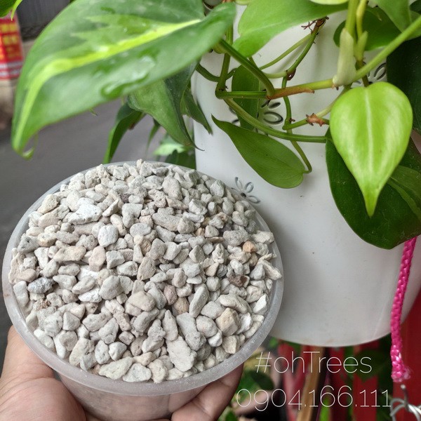 Đá bọt Pumice Thổ Kĩ Kỳ size 3-8mm (Bán theo kg)