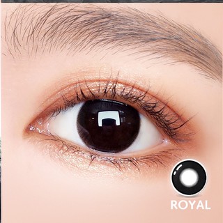 Lens mắt / kính áp tròng - royal black - đường kính 14.5 - không độ