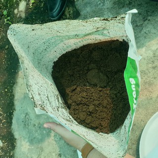 Phân trùn quế (đã qua xử lý) Sfarm PB01 (túi =5kg)