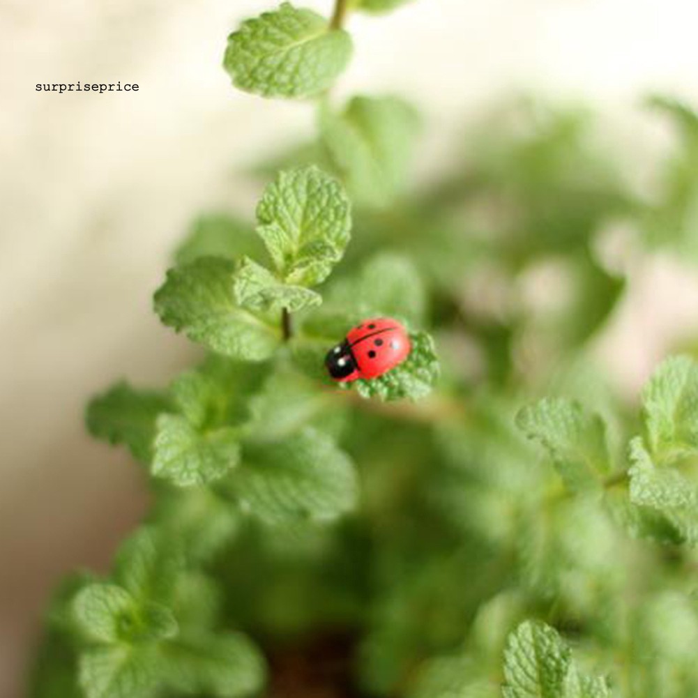 100 Phụ kiện trang trí hình bọ rùa nhỏ xinh cho sân vườn DIY