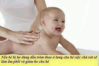 Dầu tràm bé thơ combo 3 chai