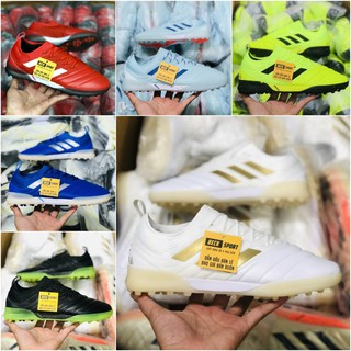 [ChânBè][Freeship]Giày Bóng Đá Copa 20.1 TF Nhiều Màu