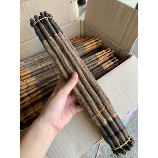 Cầu Lồng choè. chào mào