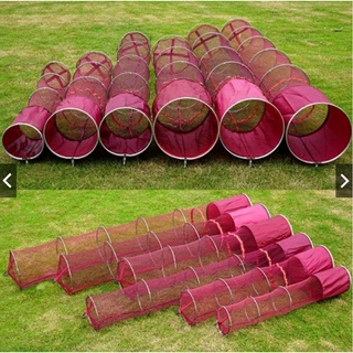 Giỏ đựng cá, dọng cá, túi đựng cá