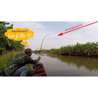 Thính bột câu cá trôi củ, cá to. Túi 500 Gram.
