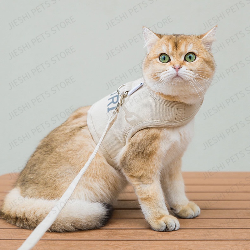 Bộ dây xích thoáng khí cho thú cưng mùa hè, dây xích dắt chó đi dạo, dây xích cho mèo