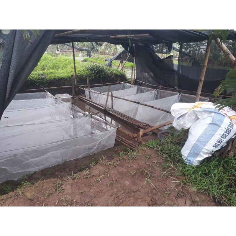 Tráng nuôi ốc nhồi - ếch - cá loại 2x1x1