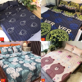 (RẺ NHẤT SÀI GÒN)Bộ ga gối poly Drap 1m6x2m mã hàng M08