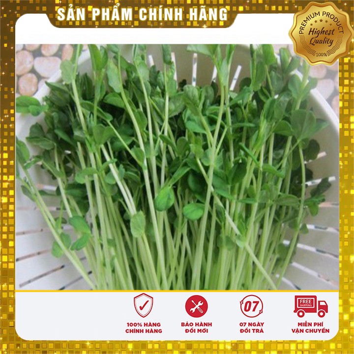 Hạt Giống Rau Mầm Đậu Hà Lan ( 50 gram)