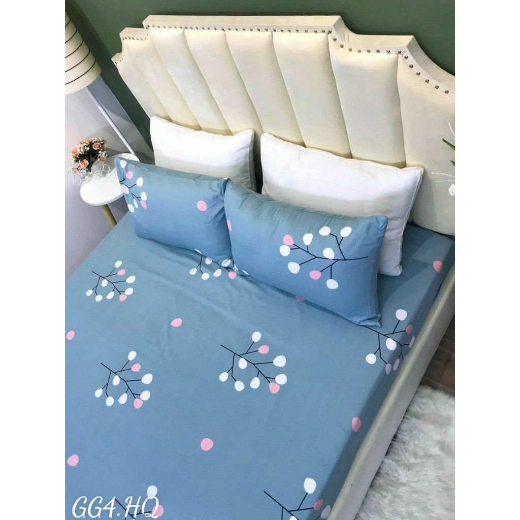 Set ga gối 100% cotton hàng nhập