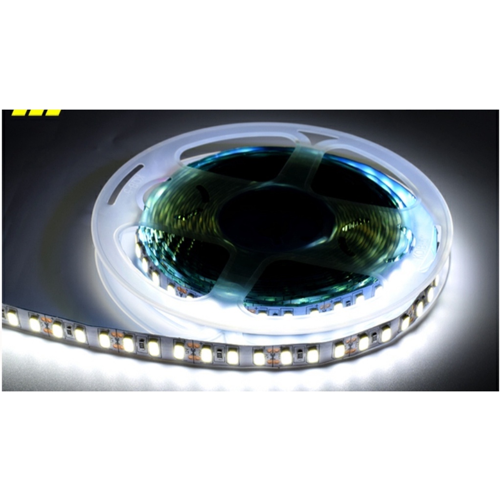 Đèn led dây dán 12V 2835 chiều dài 5 m ánh sáng trắng vàng nắng xanh dương đỏ xanh lá hàng chất lượng cao