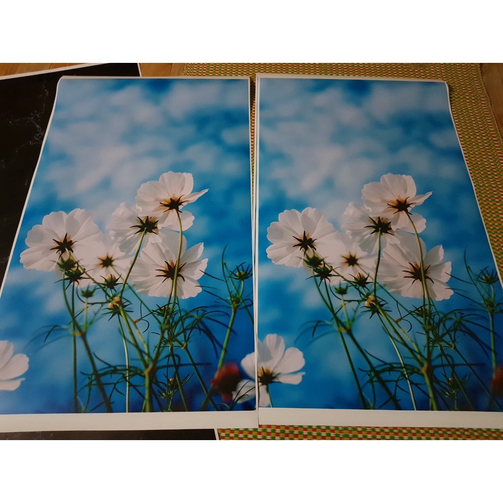 Decal dán tủ đông chống nước chất liệu dày dặn siêu bền đầy đủ kích thước - miếng dán tủ đông sanaky