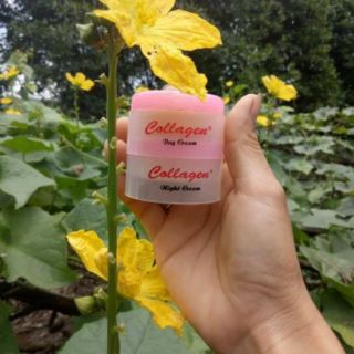 2 bộ  colagen  plus vit e e  chính  hãng