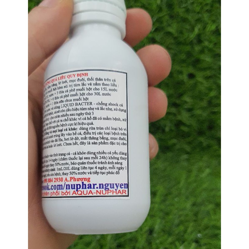 ANTI BIO - NUPHAR - Chuyên Xử Lý Túm Và Lắc Ở Cá Cảnh