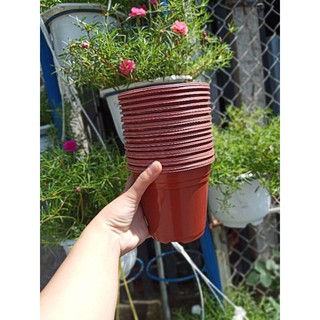 Combo 20 cái chậu nhựa siêu bền (nhỏ)