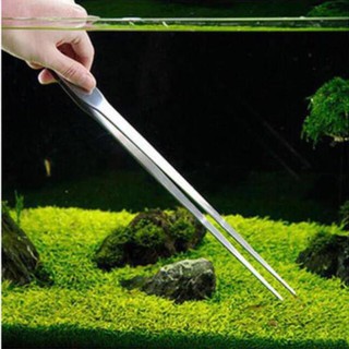 Nhíp thẳng inox trồng cây thủy sinh