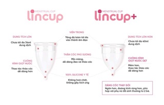 cốc nguyệt san Lincup
