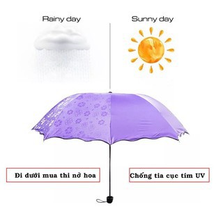 Ô dù  ☔☔ ma thuật gặp nước nở hoa ☔☔
