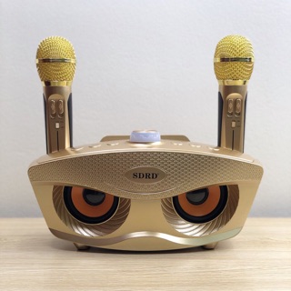 Loa kéo karaoke bluetooth sd 306 sd301