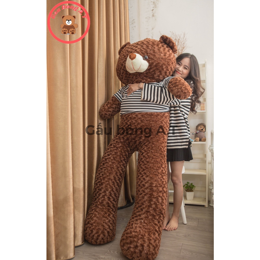 Gấu Bông Teddy - Thú nhồi Bông Teddy Siêu To Màu Nâu Đậm