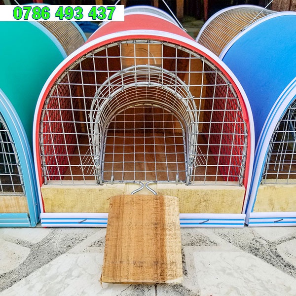 Bẫy chuột thông minh 2 ngăn, bắt nhiều con cùng một lúc