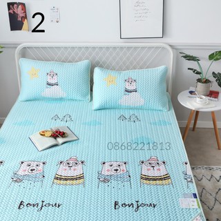 CHIẾU ĐIỀU HÒA TENCEL ( ĐƯỢC CHỌN MẪU )