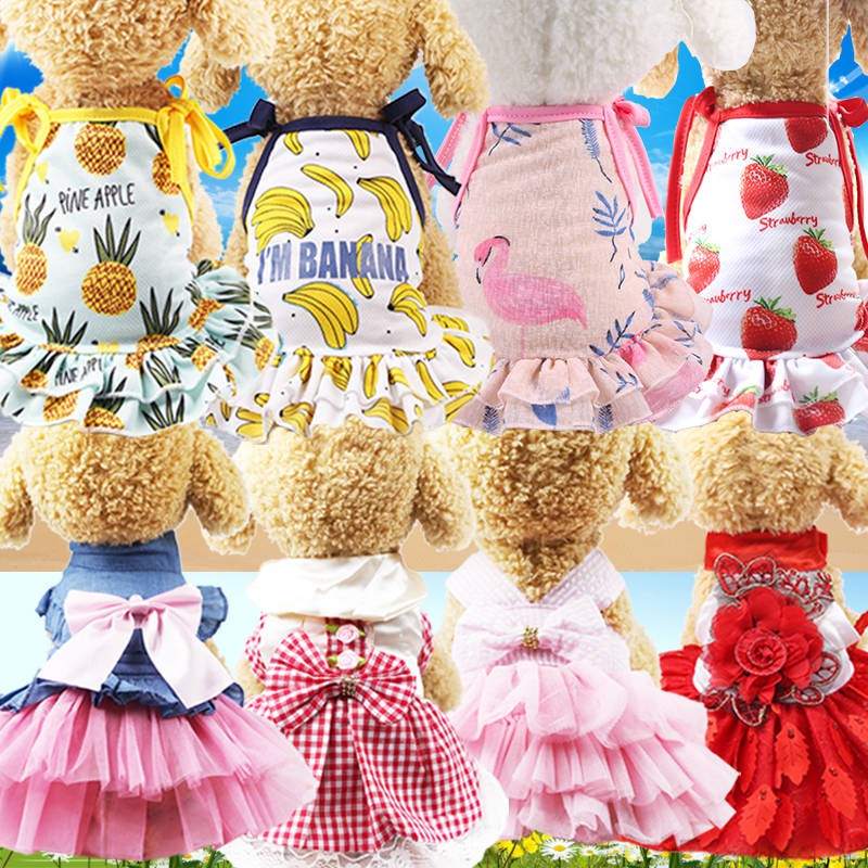 Quần áo chó mới Váy mèo GRANDMAST THU THẬP Váy trái cây hoạt hình mùa xuân và mùa hè bộ sưu tập quần áo teddy