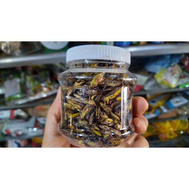 Cào cào sấy khô. 20gram