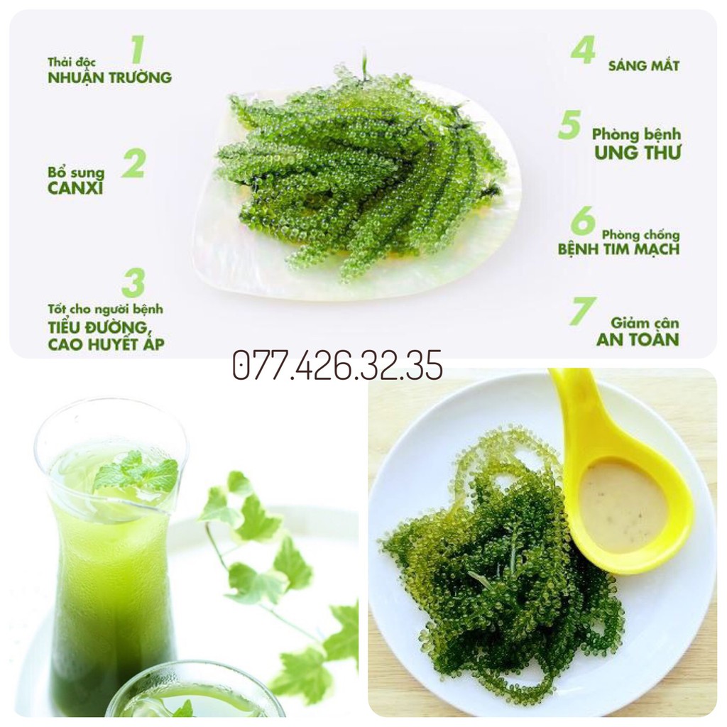 [Freeship]Kèm 03 sot me - 1Kg Rong nho tách nước Khánh Hòa | BigBuy360 - bigbuy360.vn