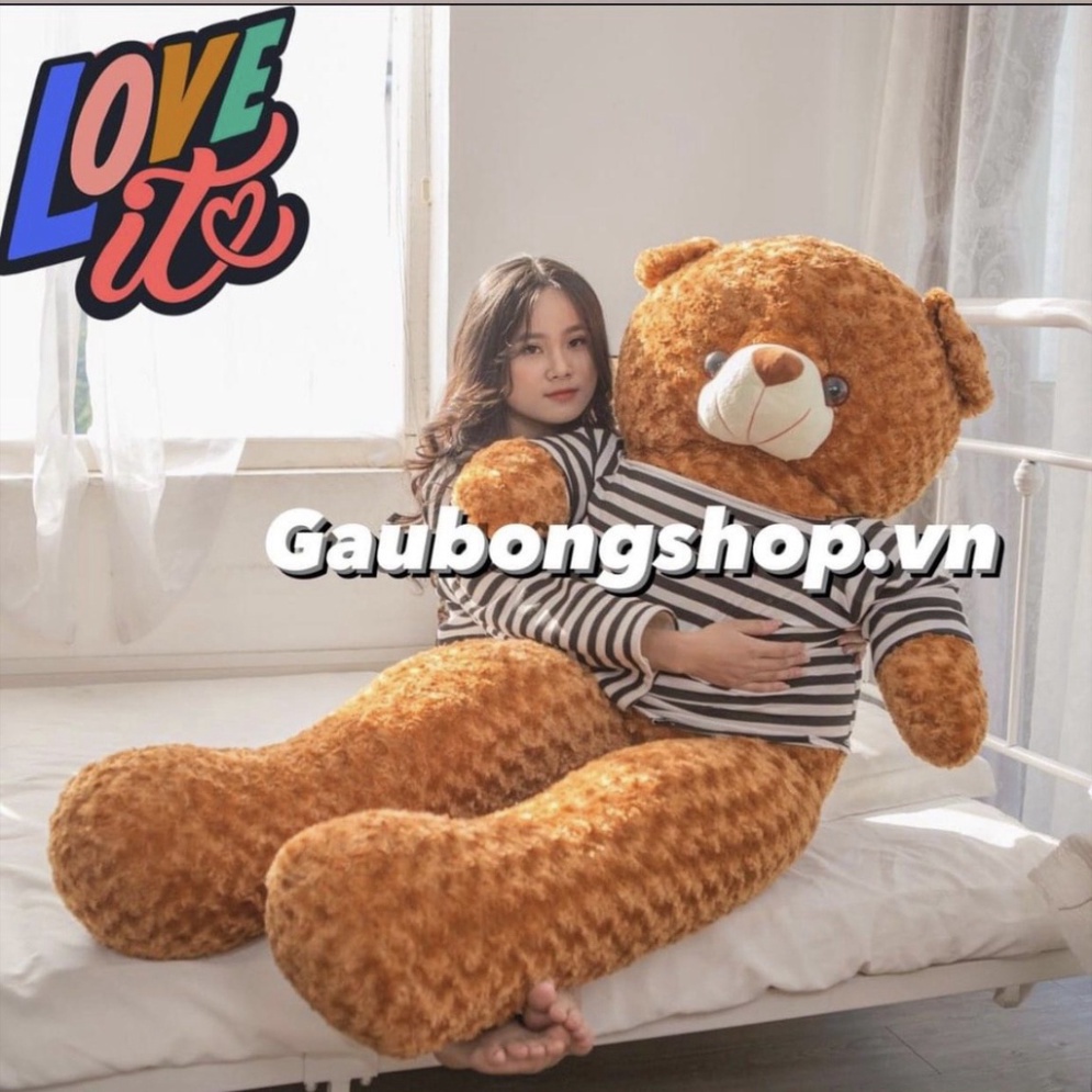 [Mã LIFEXANH03 giảm 10% đơn 500K] Gấu Bông To Gấu Bông Teddy Siêu To Khổng Lồ Quà Tặng Siêu Đáng Yêu Gấu Xinh - G11