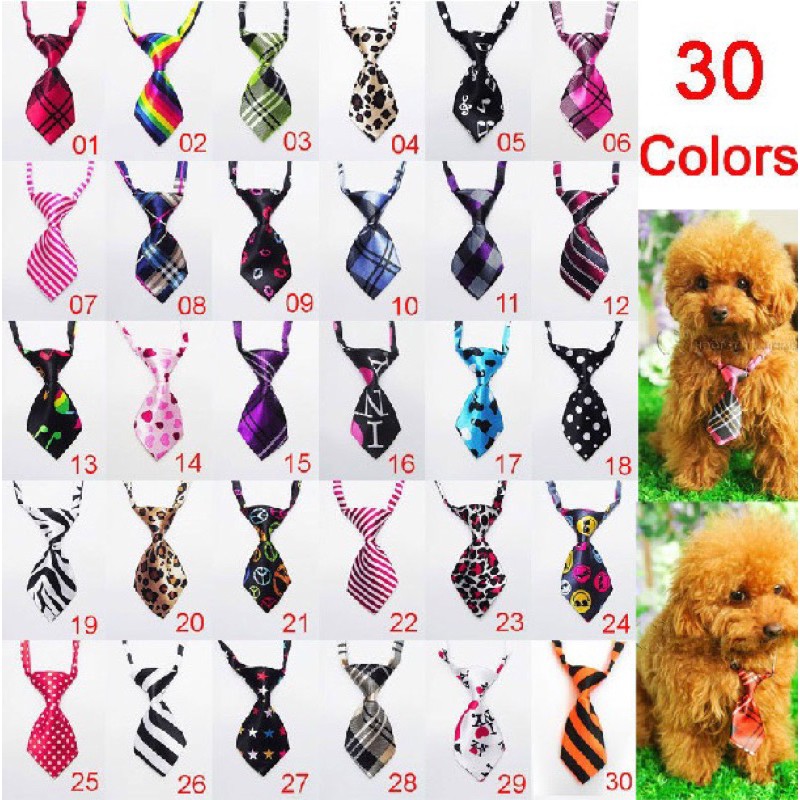 Phụ kiện thú cưng - Nơ cổ cavat cho chó mèo sành điệu