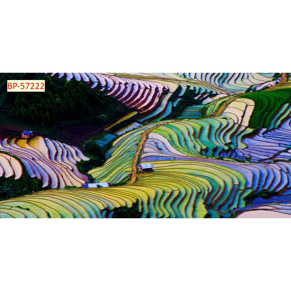 Tranh dán tường Việt Nam 3D Trang Trí Quán Cafe , Trà Sữa , Nhà Hàng... Tranh trang trí Karaoke,Club Billiard, Salon tóc