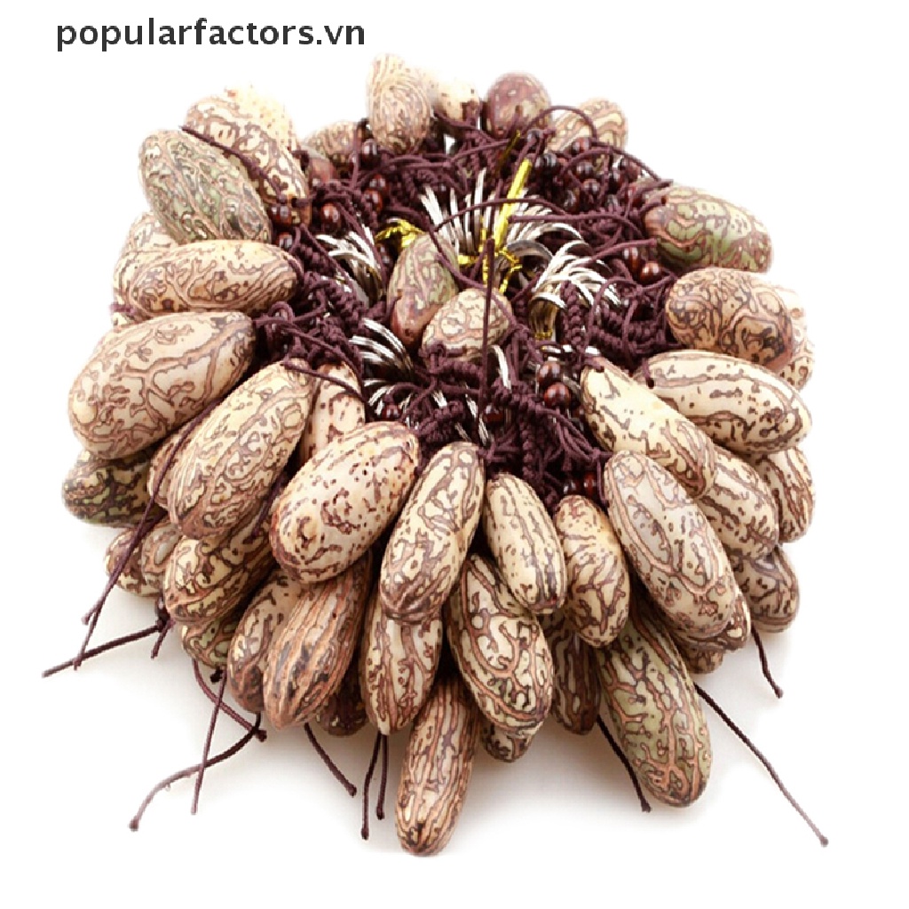 1 Móc Khóa Hình Trái Cây Bồ Đề Nhựa Kích Thước 6cm 1 Móc Khóa Hình Trái Cây Bồ Đề Bằng Nhựa Kích Thước 6cm 1 Chiếc