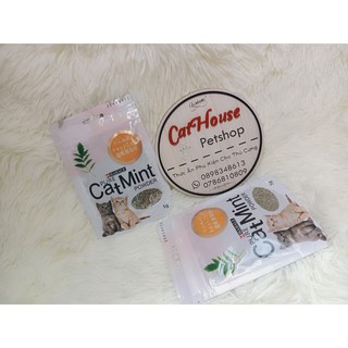 Cỏ bạc hà catnip dành cho mèo