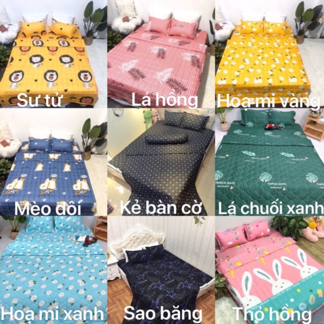 Set ga gối chăn hè Cotton poly 5 món mới nhất. Được chọn mẫu