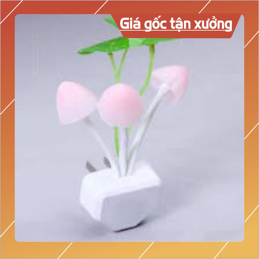 Sẵn hàng Đèn ngủ cảm ứng hình nấm .