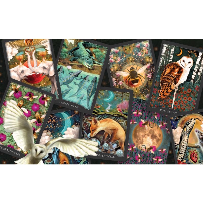 Bài Guardian of the night tarot