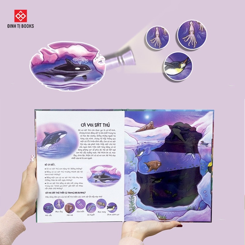 Sách - Đèn pin khám phá - Moonlight Ocean - Đại dương dưới ánh trăng