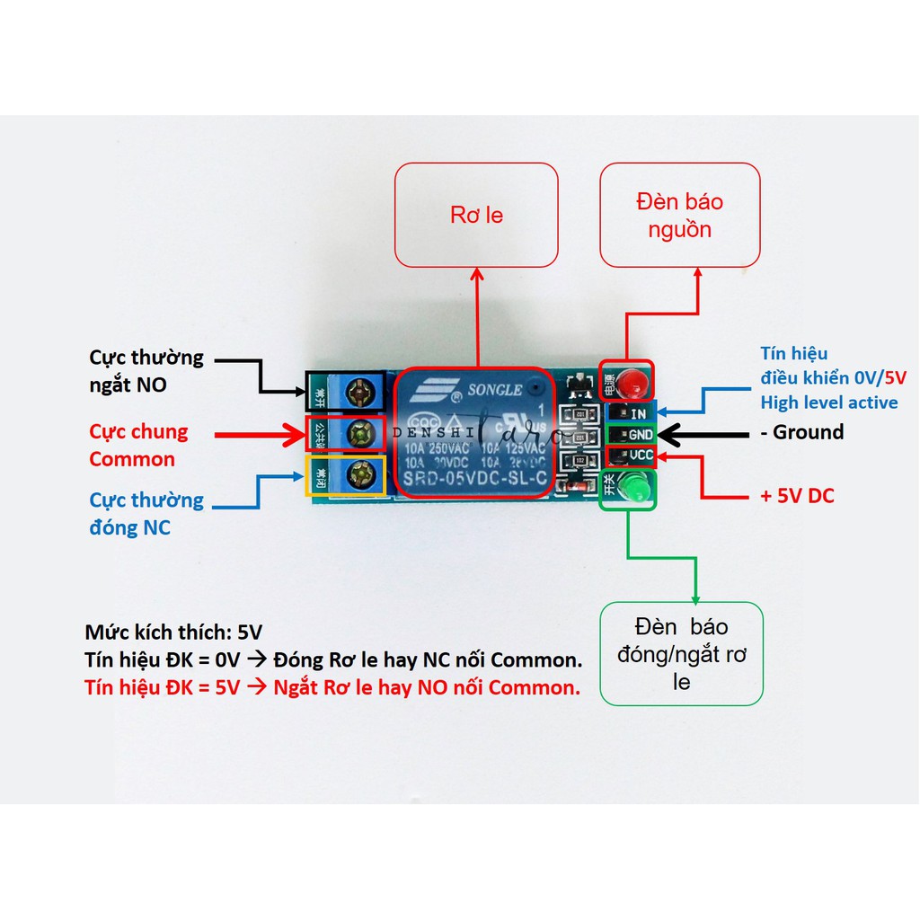 Denshitaro Relay 1 kênh 5V-10A 220VAC 30VDC Rơ le 1 kênh D00- 015