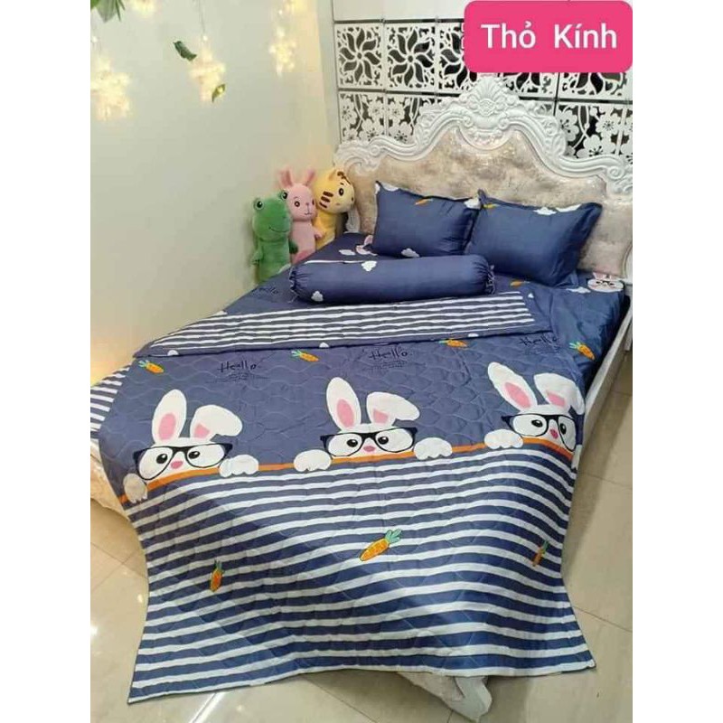 Bộ chăn ga gối  hè 5 món cotton poly Hàn Quốc