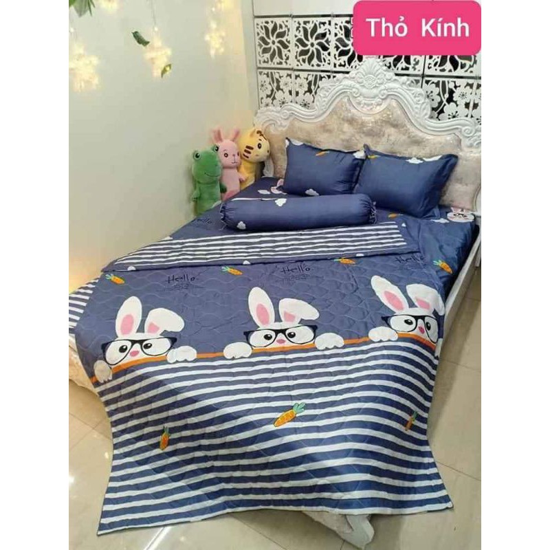 bộ chăn ga gối  hè 5 món cotton poly Hàn Quốc | BigBuy360 - bigbuy360.vn