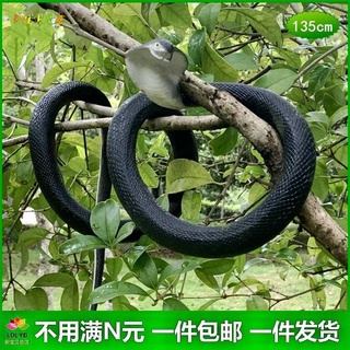 Rắn đồ chơi bằng gỗ cho bé mô hình rắn gõ kiến bằng cao su mềm cỡ lớn trang trí sân vườn