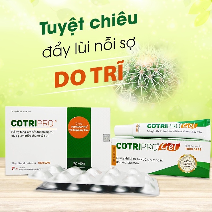 Bộ đôi phối hợp tác động Cotripro - Teo búi trĩ hết đau rát nhanh