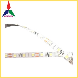 Led dây dán 5054 Samsung 12v cuộn 5m