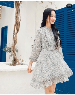 ĐẦM HOA BÈO NGỰC (KÈM HÌNH THẬT)