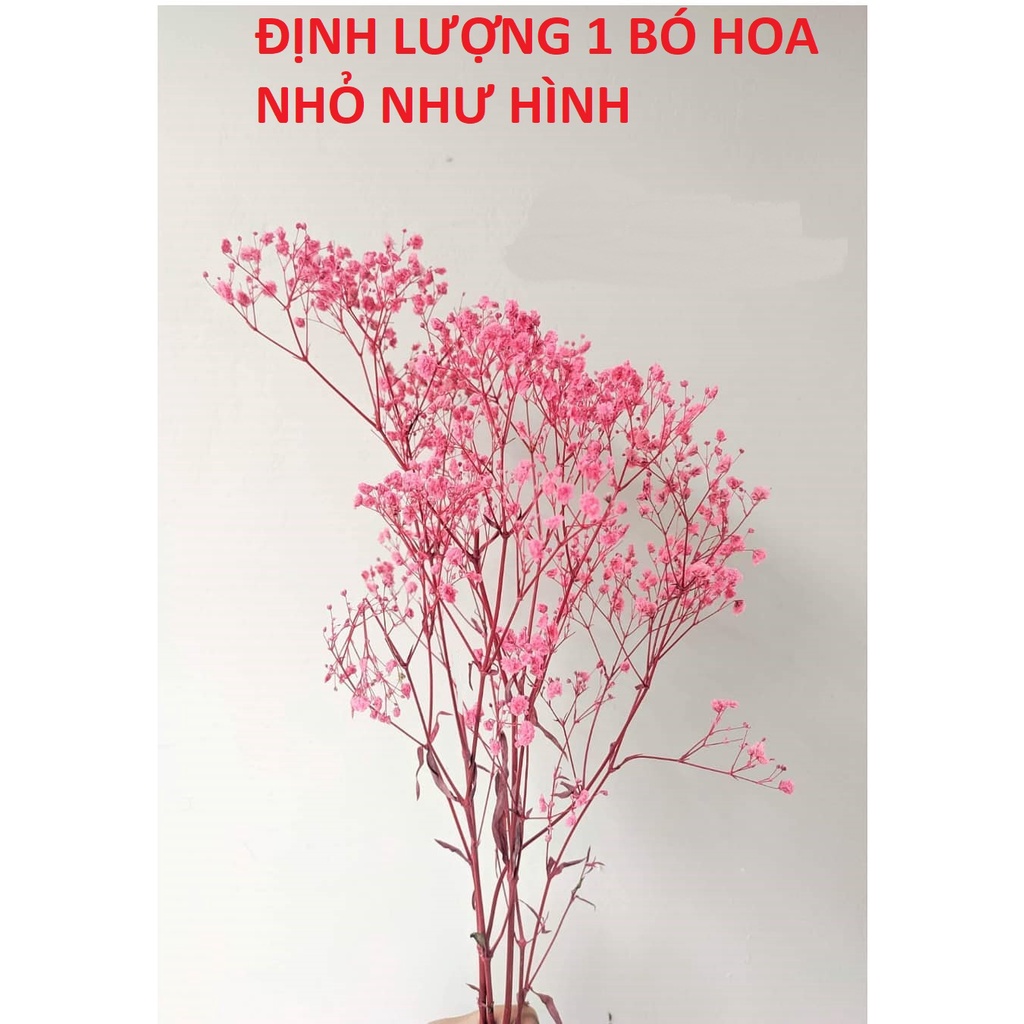 [FREESHIP]  Bó hoa Baby khô ướp màu  Hoa Khô Baby Gysophila trang trí decor