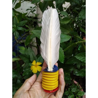 Cầu đá lông Hiệp Thành