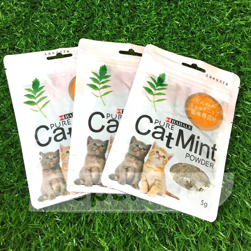 [Mã PET50K giảm Giảm 10% - Tối đa 50K đơn từ 250K] [ SIÊU RẺ ] Cỏ Catnip Cỏ Bạc Hà Cho Mèo CatMint 5g