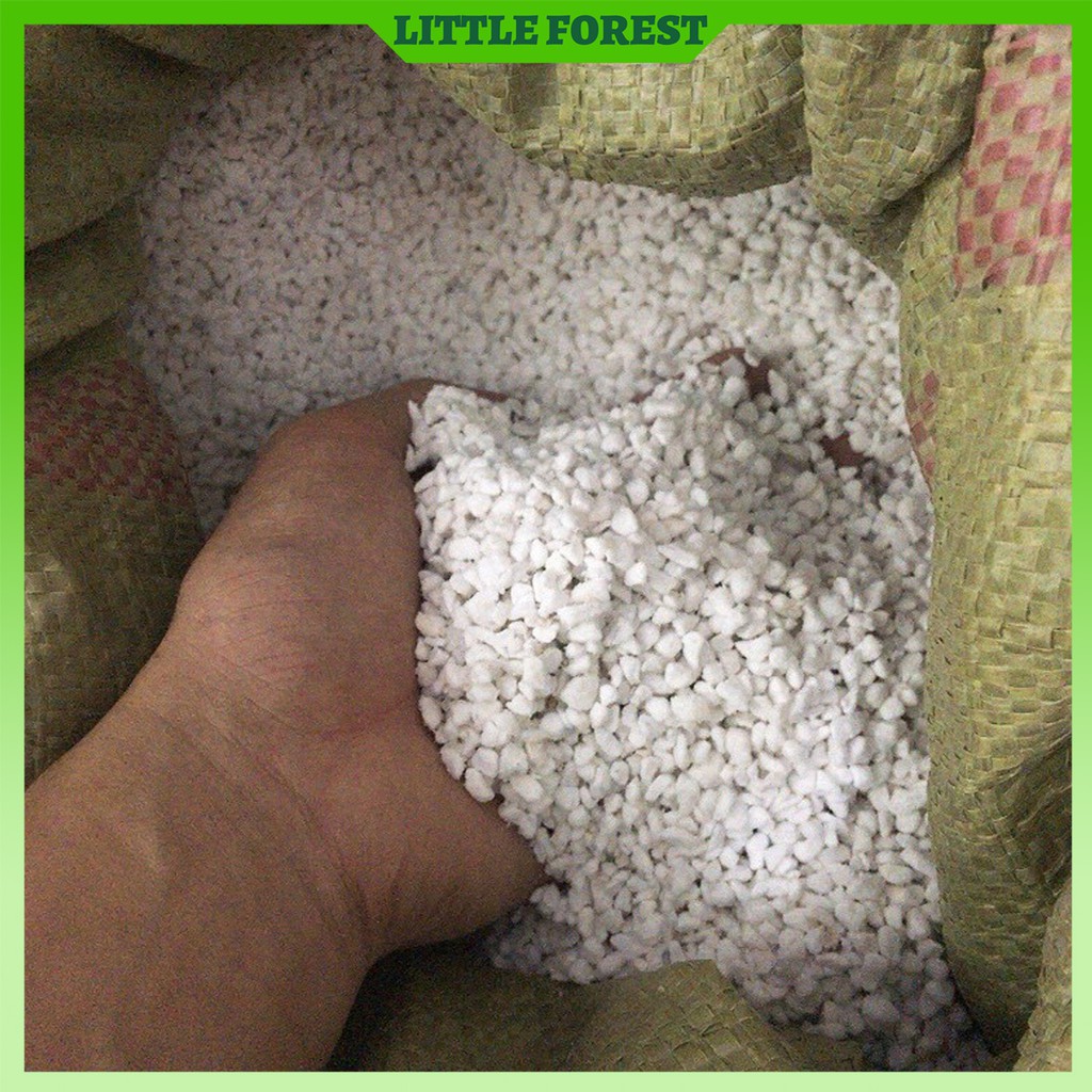 Đá perlite, đá trân châu để trộn 1-3kg giá thể trồng sen đá, xương rồng - Little Forest